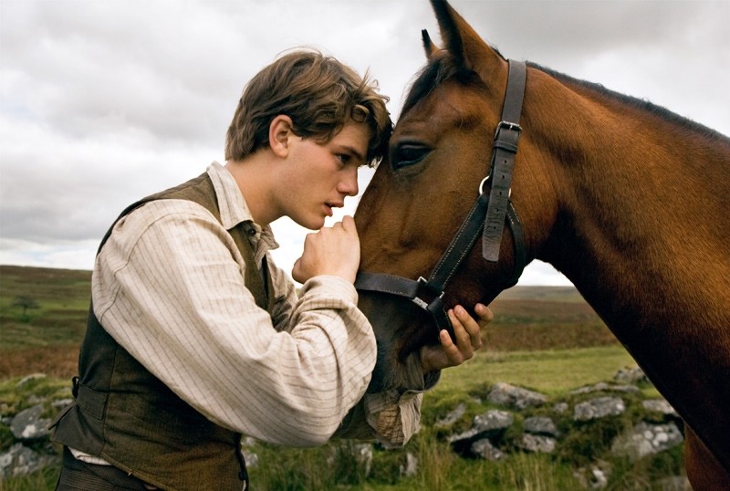War Horse Granted putting animals in wartime peril is an easy way to get 